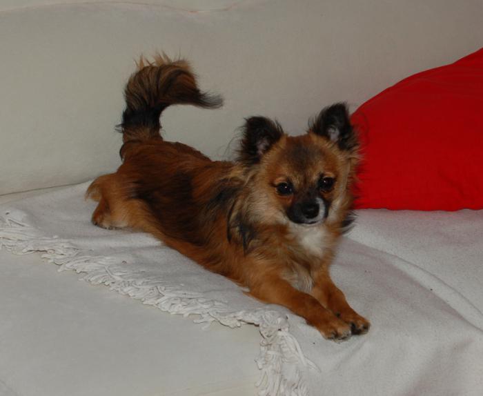 foto k příspěvku  od Ravo