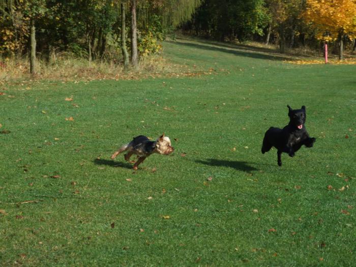 foto k příspěvku  od Reprák
