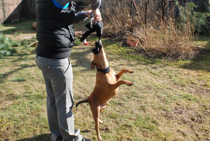foto k příspěvku  od JA
