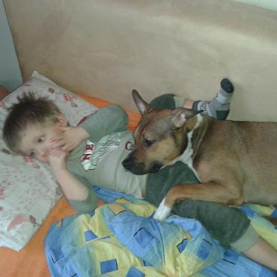 foto k příspěvku  od dolph