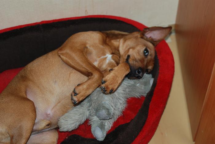 foto k příspěvku  od JA