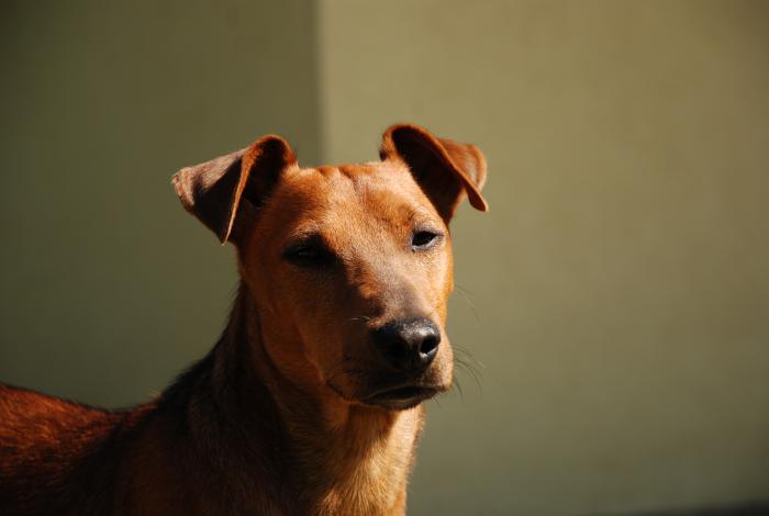 foto k příspěvku  od JA