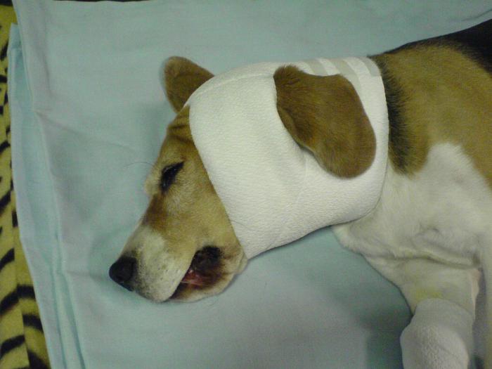 foto k příspěvku  od JA