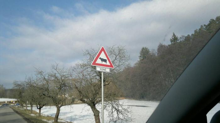 foto k příspěvku  od ABERTO