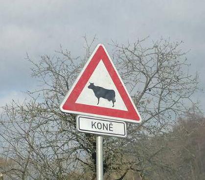 foto k příspěvku  od ABERTO