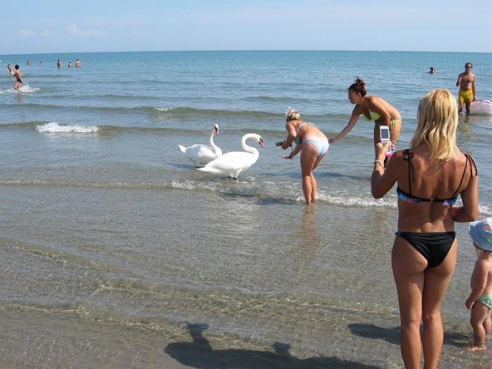 foto k příspěvku  od El_Vita