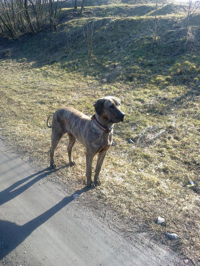 foto k příspěvku  od jura.j