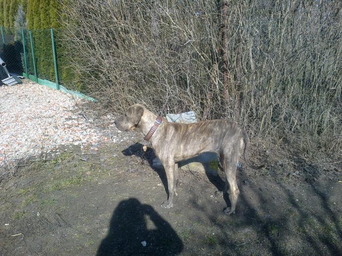 foto k příspěvku  od jura.j