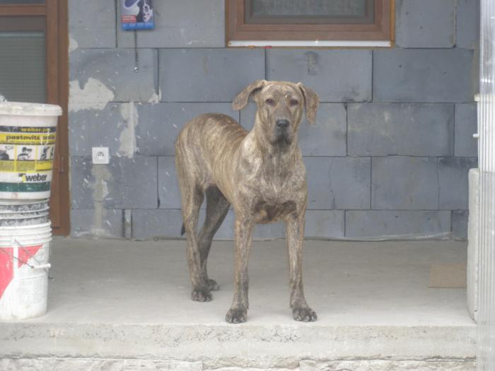 foto k příspěvku  od jura.j