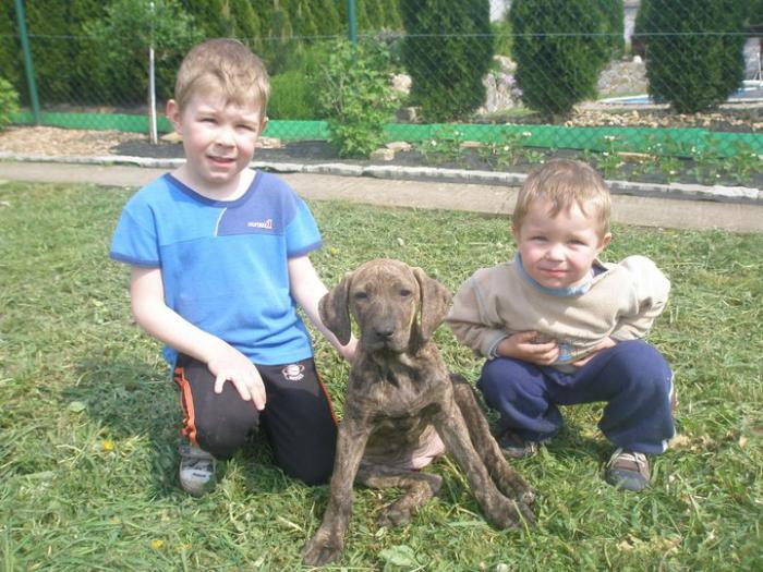 foto k příspěvku  od jura.j