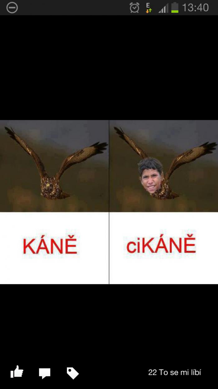 foto k příspěvku  od vypuk