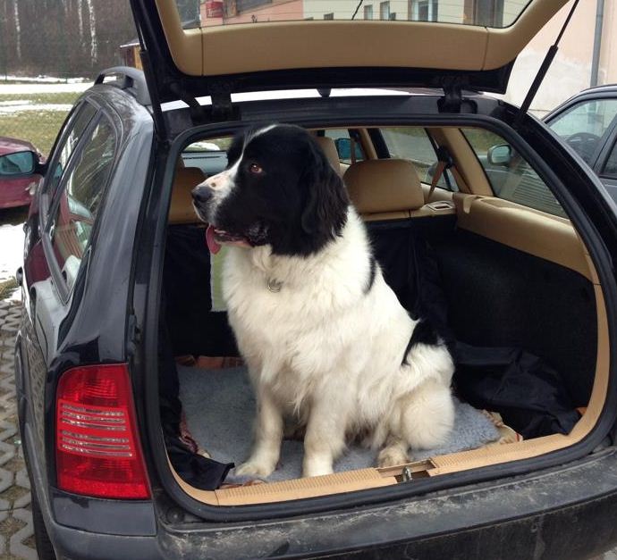 foto k příspěvku  od Ace_FIAT