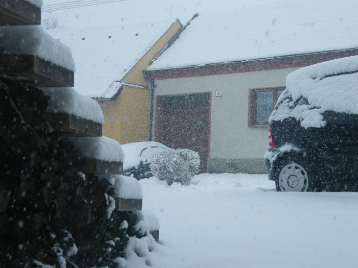 foto k příspěvku  od Sau