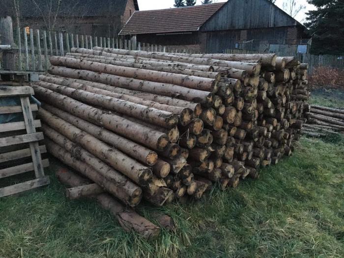 foto k příspěvku  od Knightey-