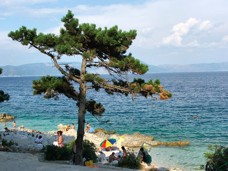 Ozzyho Rabac 2006