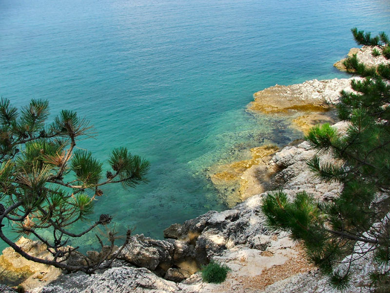 Ozzyho Rabac 2006