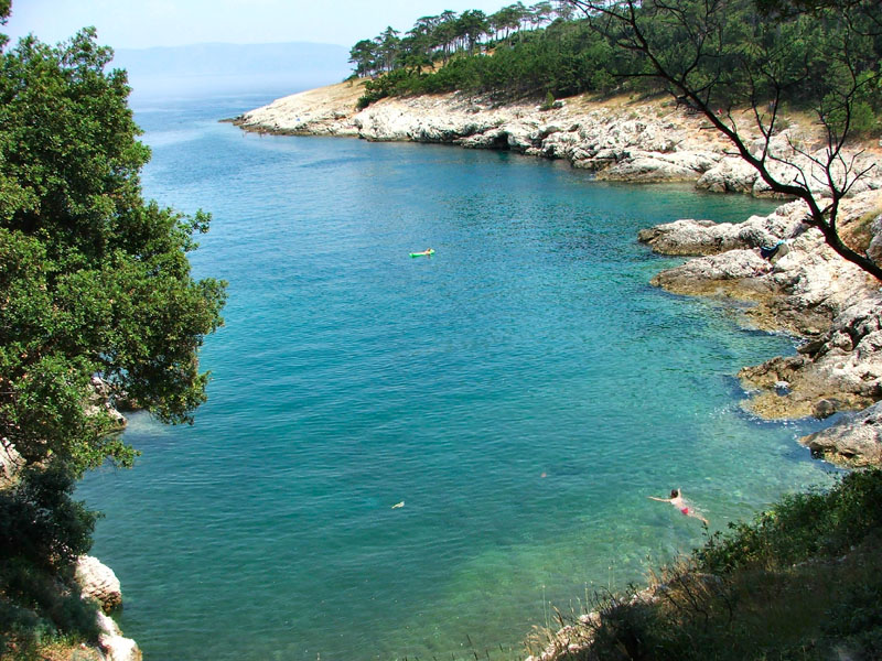 Ozzyho Rabac 2006