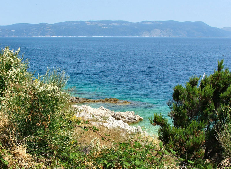 Ozzyho Rabac 2006